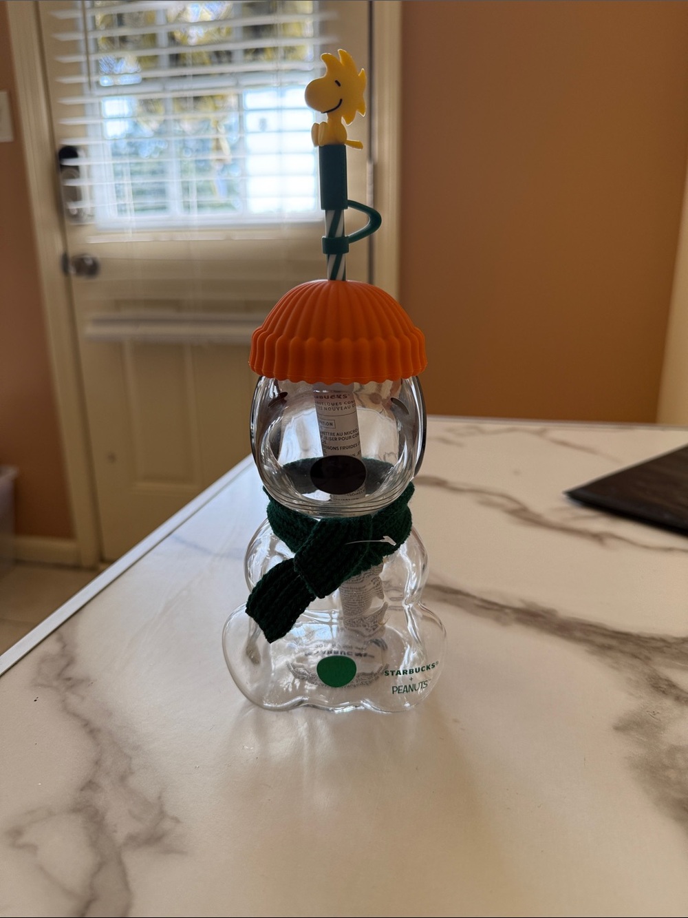 Snoopy x Starbucks Orange Hat, Green Scarf